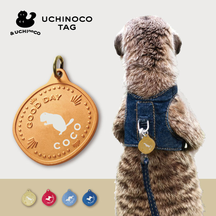 楽天市場】迷子札 【 リチャードソンジリス 】 UCHINOCOタグ