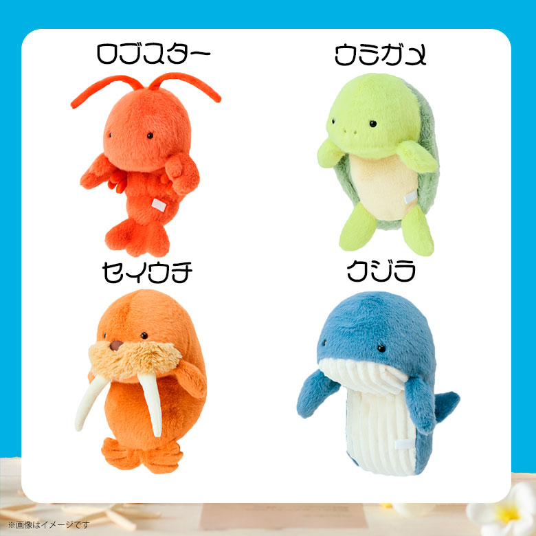 楽天市場】【即納】ふんばるず 海シリーズ レギュラーサイズ【全4種