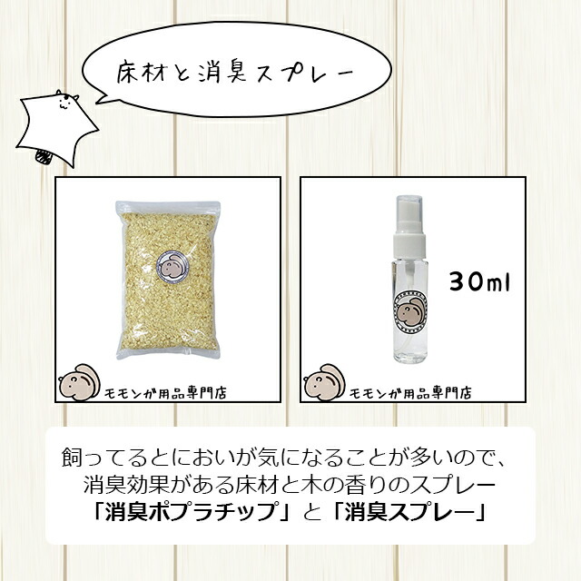 楽天市場】フクロモモンガの飼育初心者セット01 基本の飼育用品セット