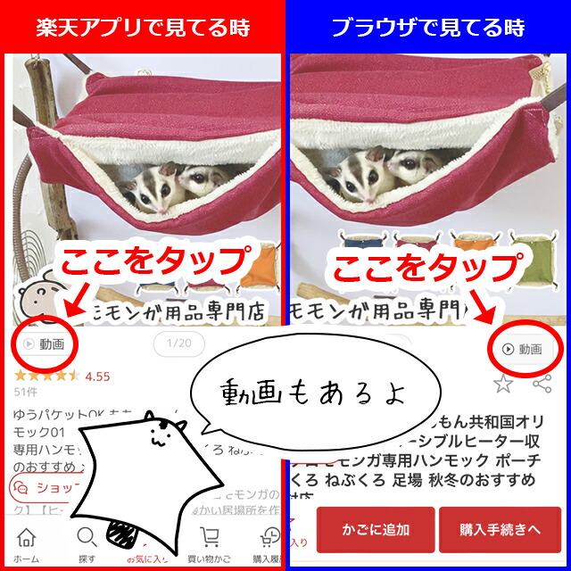 楽天市場】SANKO フクロモモンガフード 300g 三晃商会 サンコー