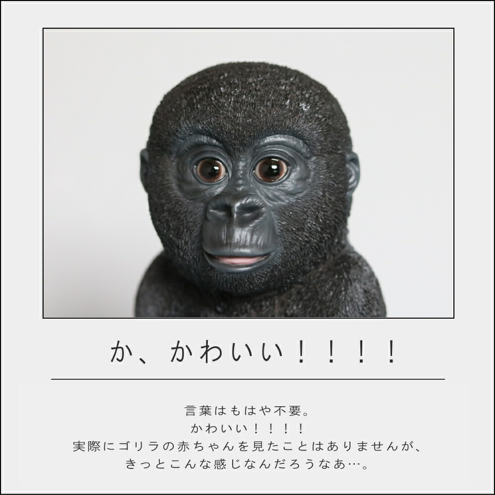 楽天市場】【在庫限り 20％OFFクーポン】【特典付】( 赤ちゃんゴリラ