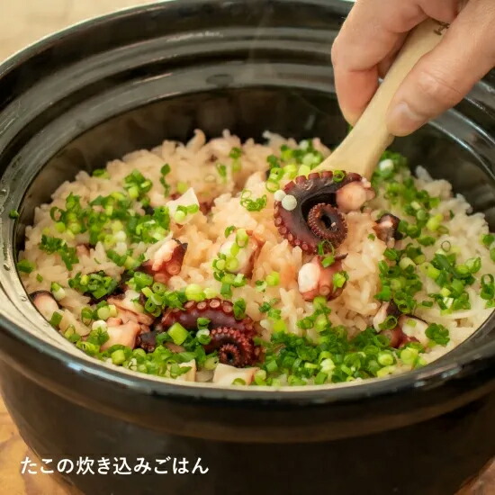 楽天市場】【公式限定取扱】 土鍋 長谷園 かまどさん 四合炊き 長谷園