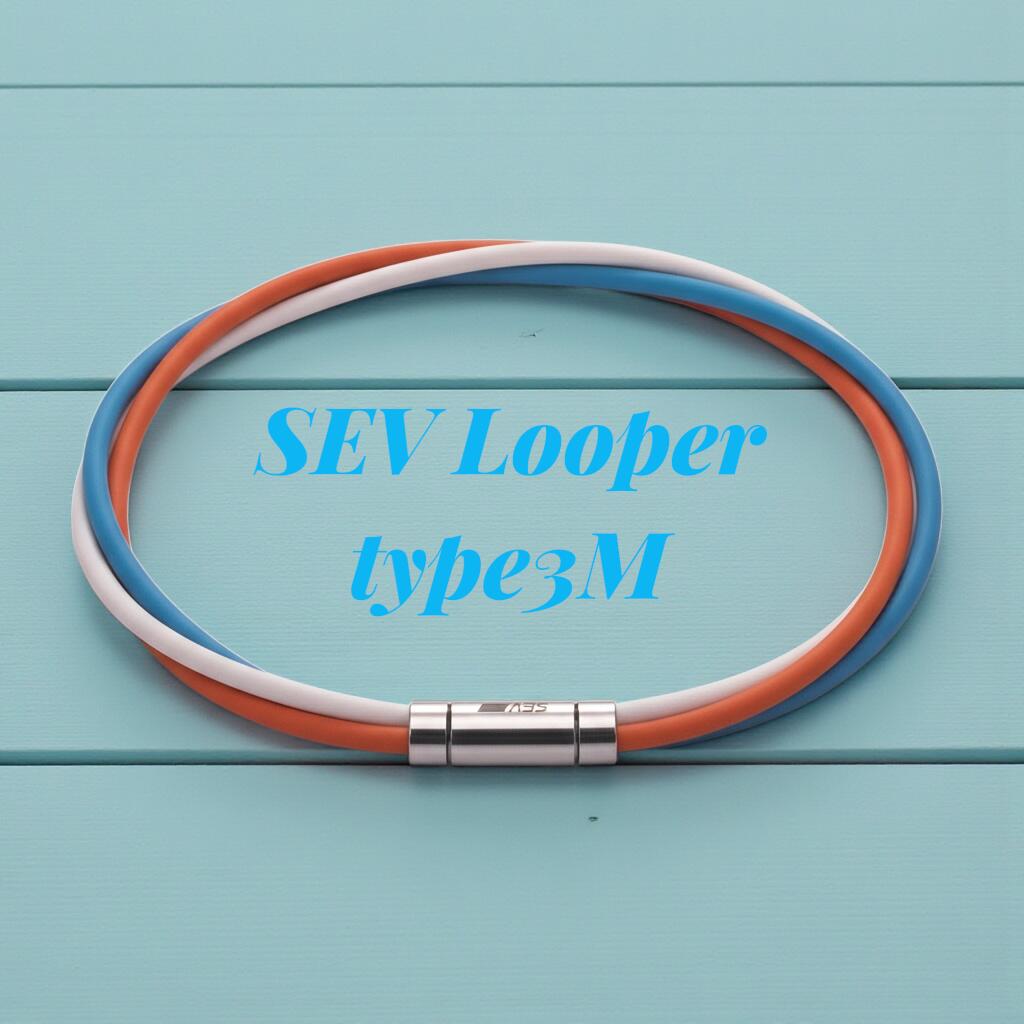 楽天市場】セブ ネックレス 哀川翔の通販