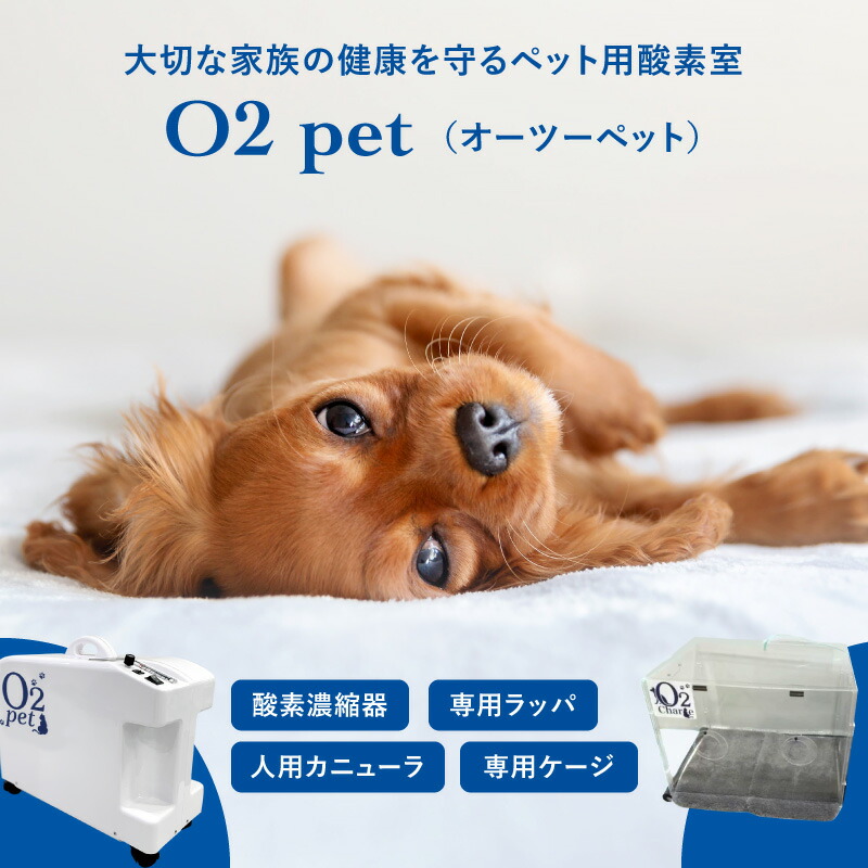 楽天市場】オーツーペット ペット 酸素室 酸素濃縮器 専用ケージ 酸素