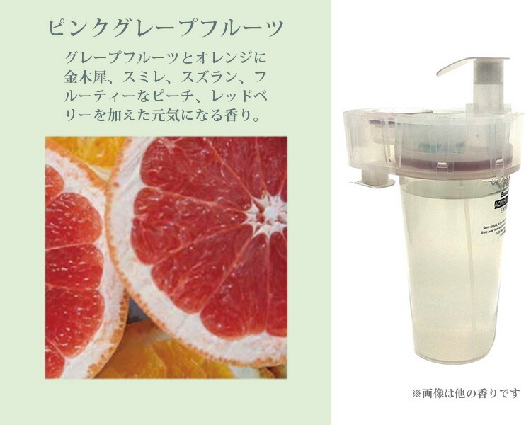 楽天市場】【1000円OFFクーポン】専用カートリッジ PROLITEC AirQ160