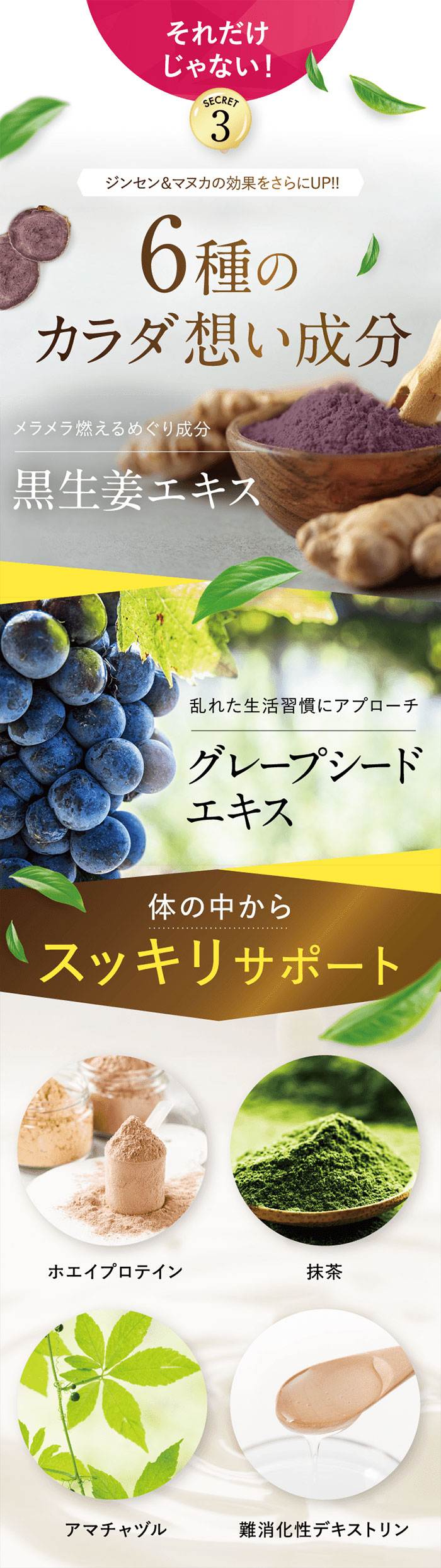 楽天市場】Re-CABO リカボ 30粒 サプリ サプリメント ダイエット