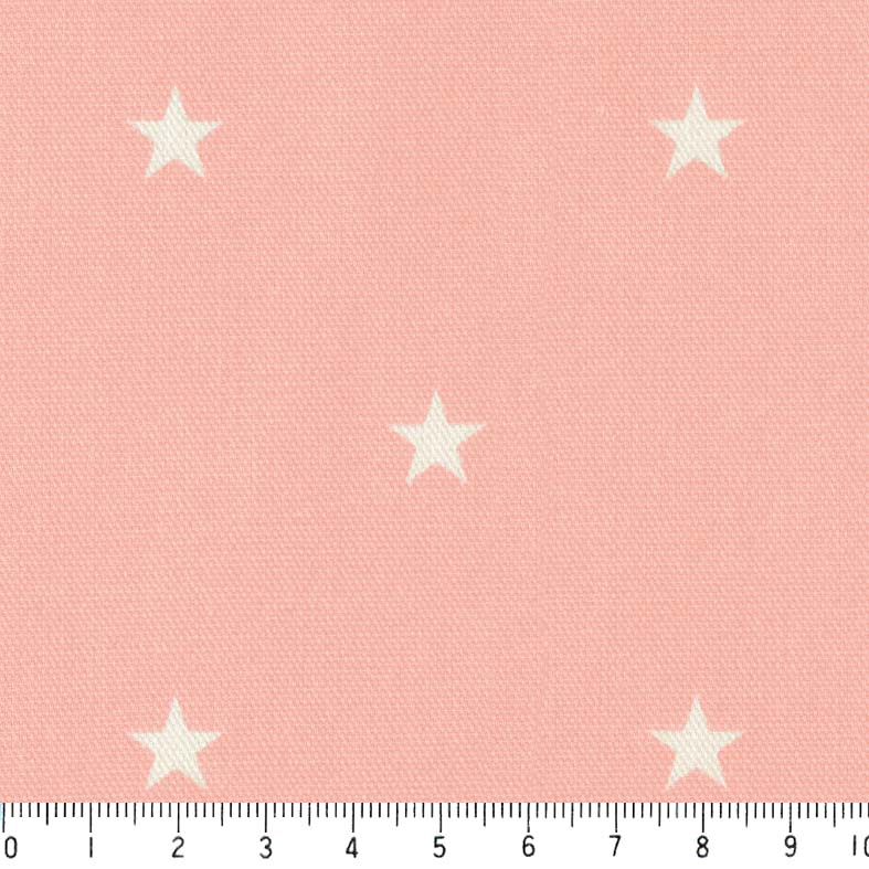 サーモンピンク 落とし穴 PSA9 サーモンピンク 落とし穴 PSA9 581110