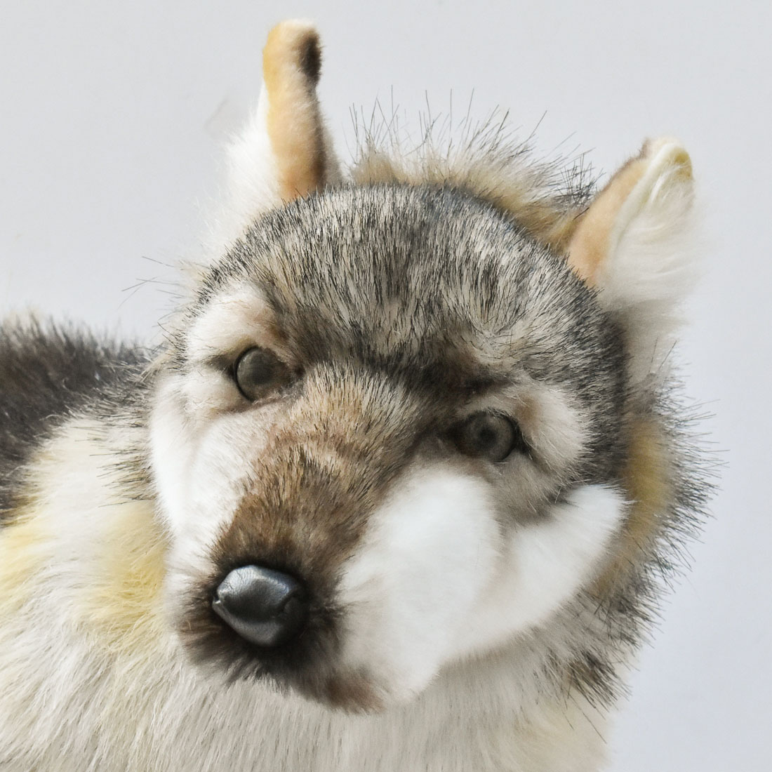 楽天市場】ハンサ【HANSA】リアルぬいぐるみ オオカミ66 : ナチュラル