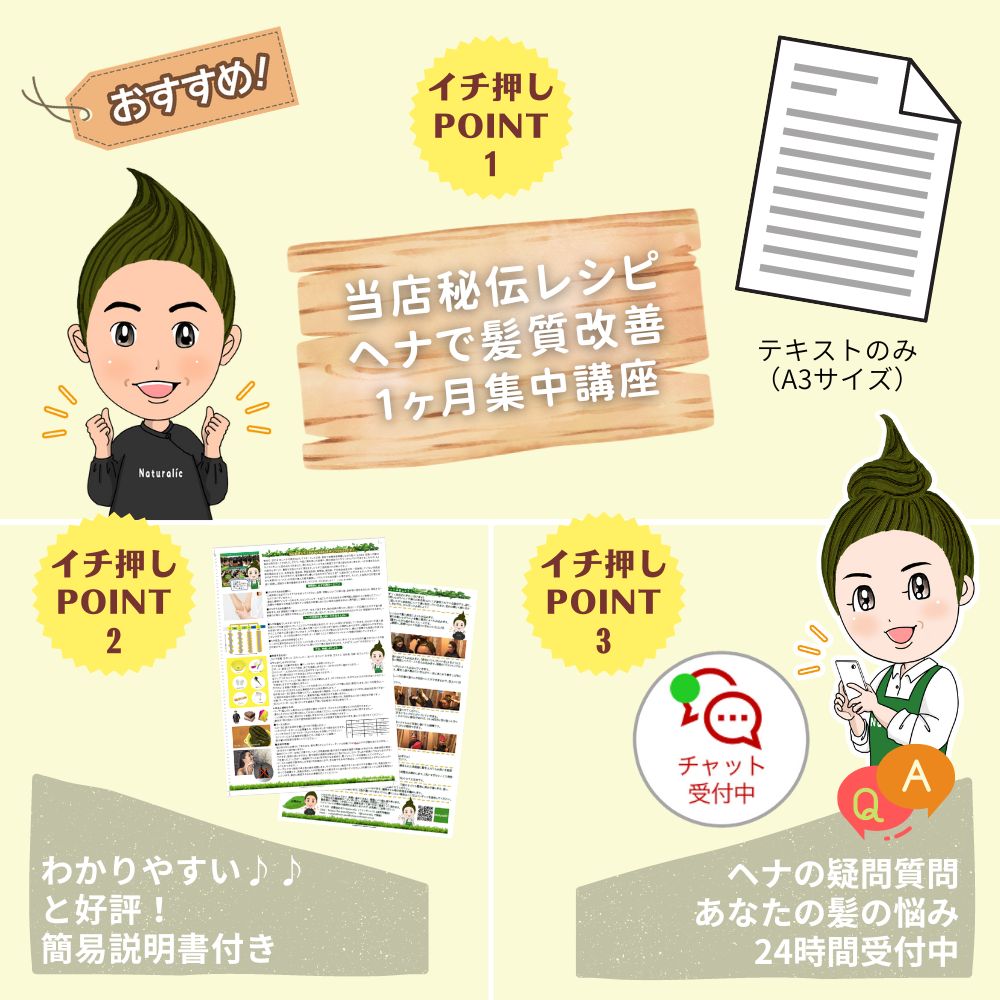 楽天市場】ヘナ デビューキット 白髪染め トリートメント 毛染め ヘア