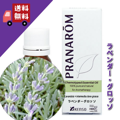 楽天市場】プラナロム ラベンダー アングスティフォリアの通販