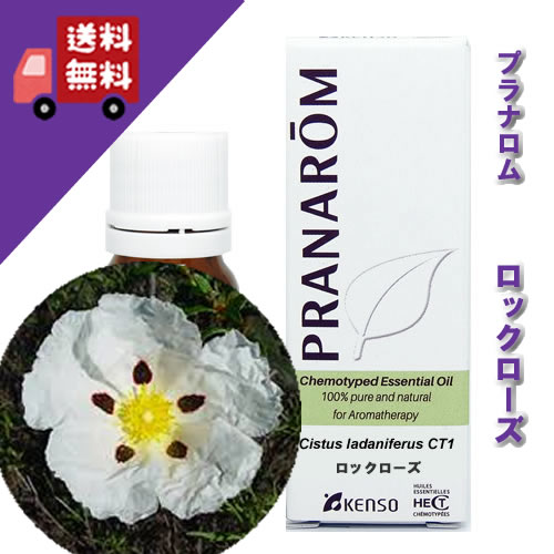 プラナロム 精油」の人気商品一覧 | 安い商品を通販サイトから探す