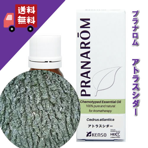 楽天市場】プラナロム ウィンターグリーンの通販