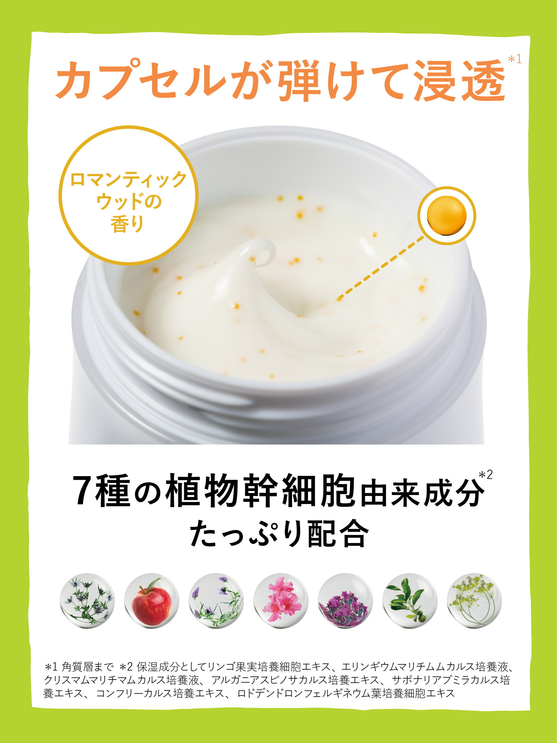 楽天市場】リッツ リバイバル ステム7 詰め替え 50g | 植物幹細胞