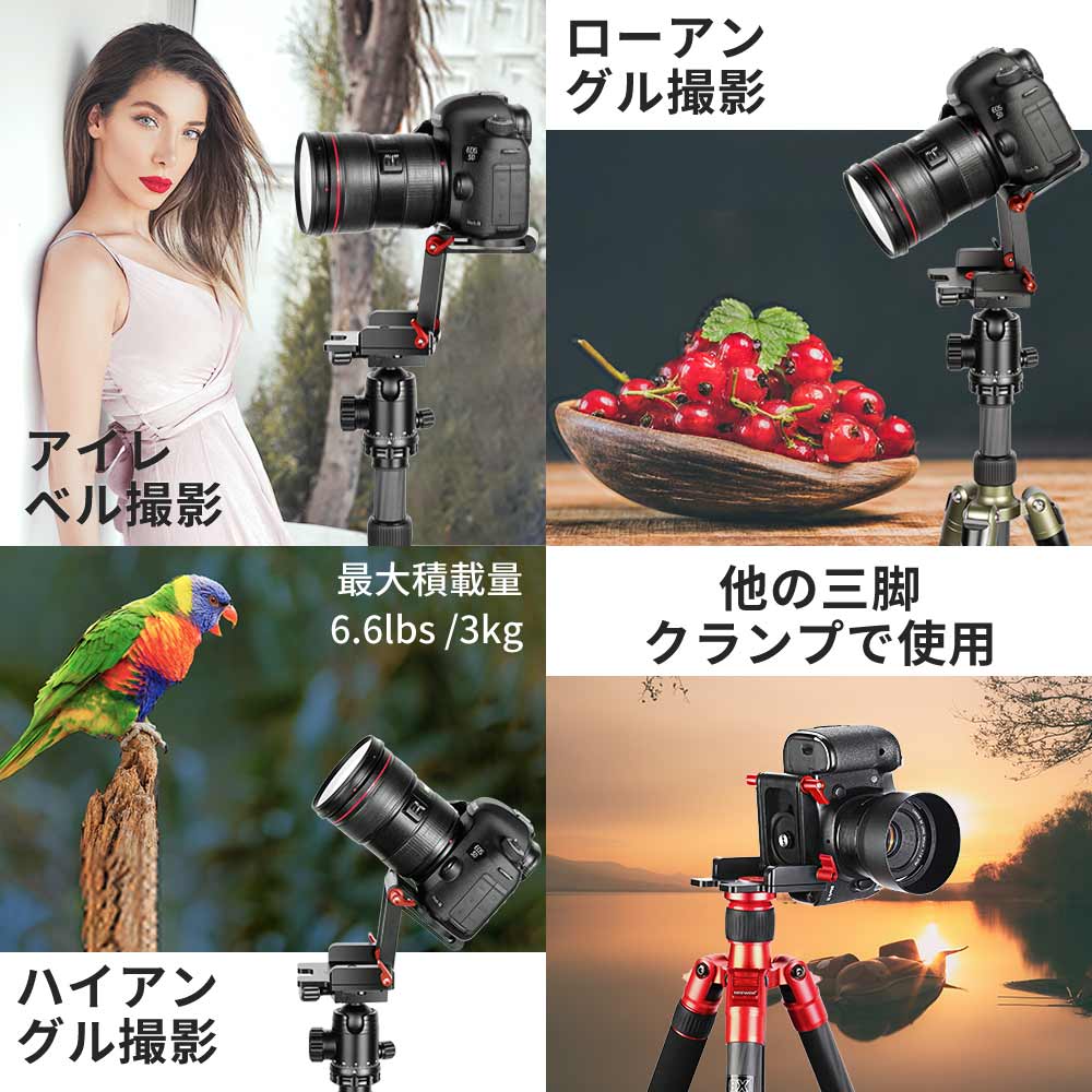 楽天市場】【P5倍+5%OFF券】NEEWER アップグレード版Z型フレックス