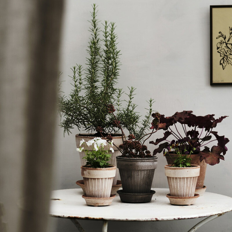 楽天市場】Bergs Potter 植木鉢 Simona グレー φ14cm 16cm 18cm 受け皿