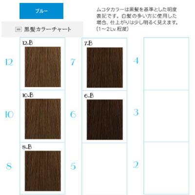 楽天市場】ムコタ ヘアカラー 第1剤 ニュアンスシェード B ブルー