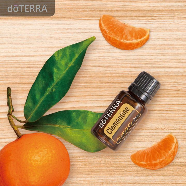 楽天市場】【平日15時まで/当日出荷】【送料無料】ドテラ doTERRA