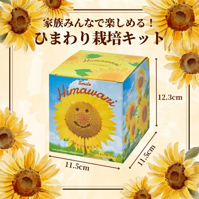 楽天市場】【エントリーでP10倍】シール付 ひまわり 栽培キット ミニ
