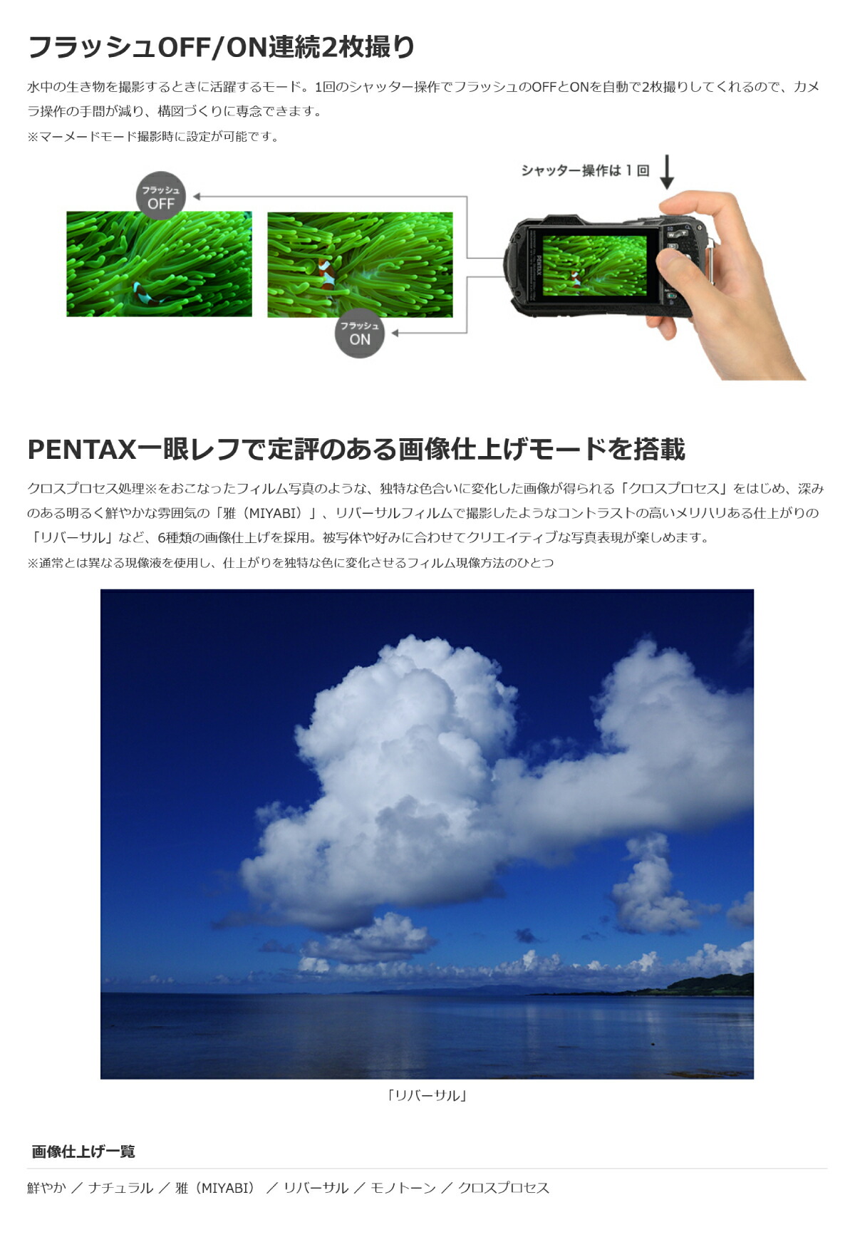 楽天市場】PENTAX ペンタックス 防塵・防塵・業務用デジタルカメラ WG