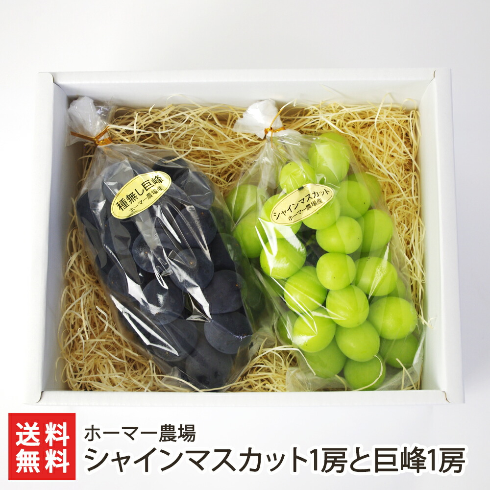 楽天市場】シャインマスカット1房と巨峰1房（重量：シャインマスカット