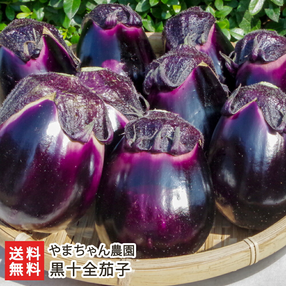 楽天市場】黒十全茄子「20個入り」or「35個入り」 やまちゃん農園