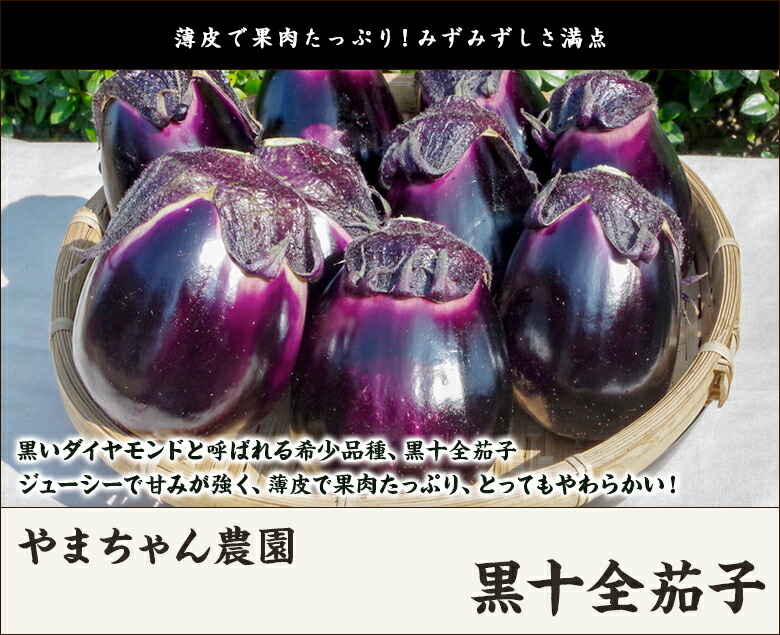 楽天市場】黒十全茄子「20個入り」or「35個入り」 やまちゃん農園