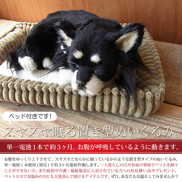 楽天市場】眠るように呼吸する パーフェクトペット (小サイズ) チワワ