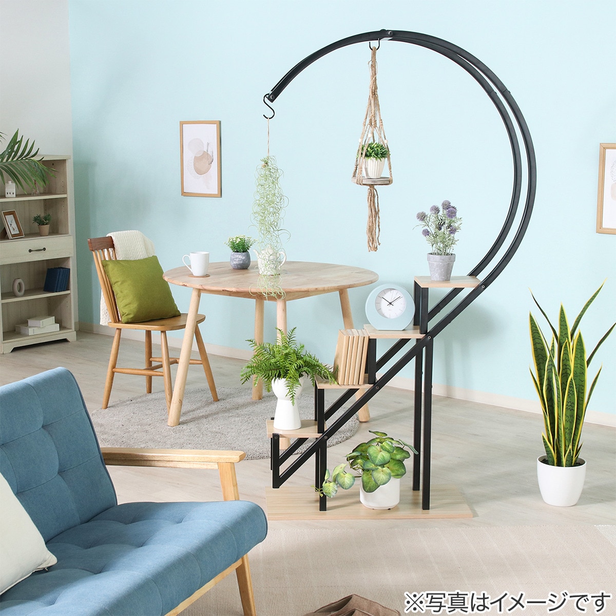 楽天市場】ディスプレイラック ハート型 ニトリ 【メーカー直送・送料