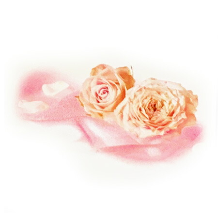 楽天市場】【 お試し 】ランプベルジェオイル 【 シルクタッチ 】100ml