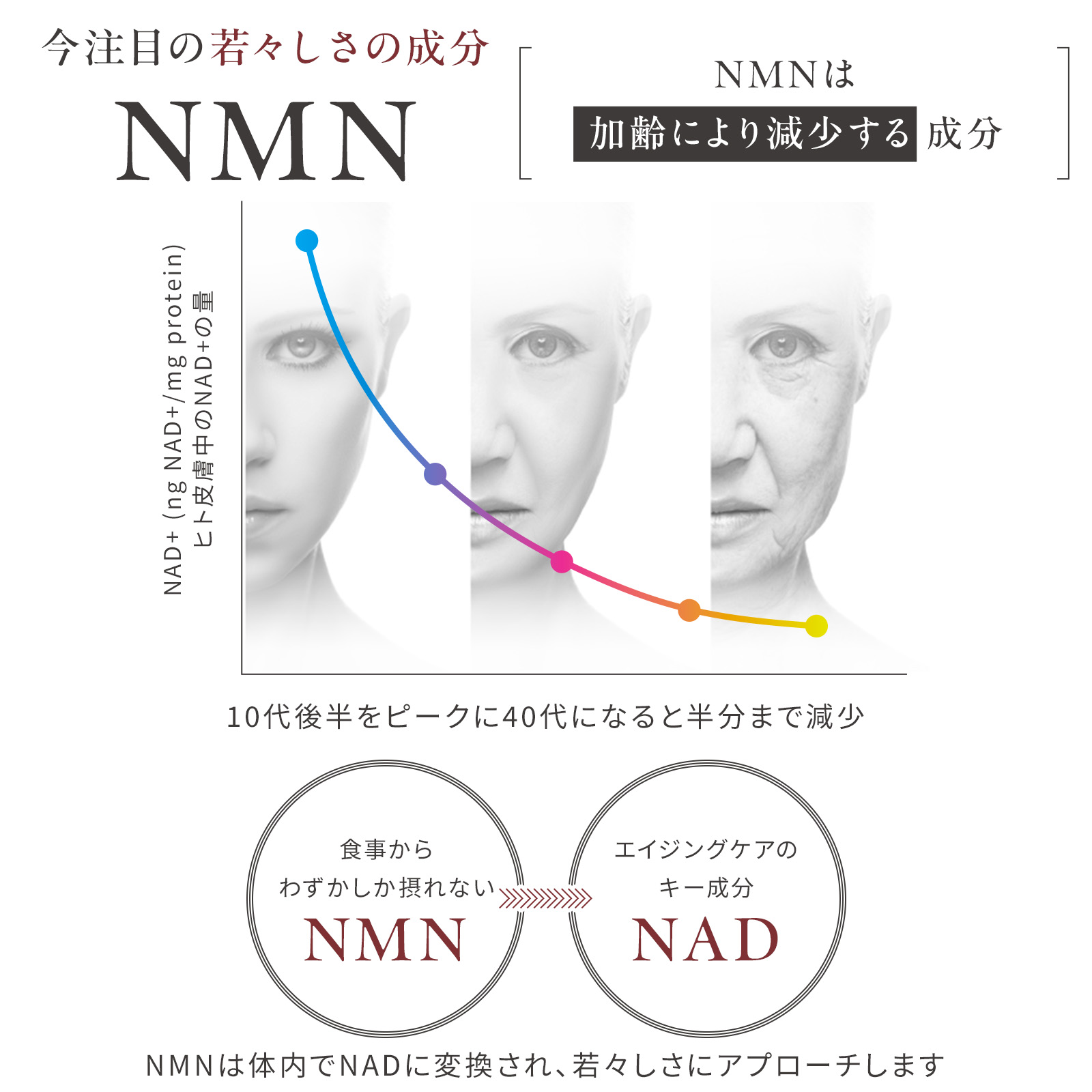 楽天市場】【公式】阿部養庵堂薬品 養庵堂 NMN 18000 Pre-mother（NMN