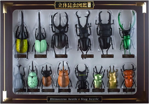 楽天市場】立体昆虫図鑑DX カブトムシ クワガタセット 標本 リアル