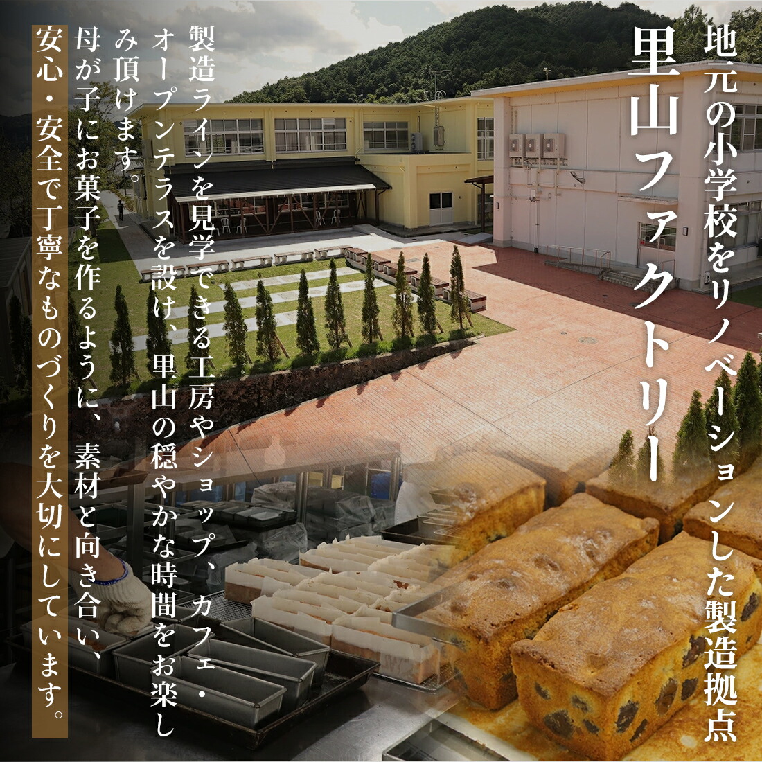 楽天市場】足立音衛門 30枚入り 和三盆糖入りクッキー缶 送料無料 焼