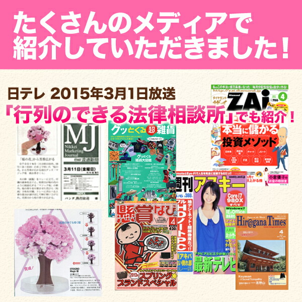 楽天市場】【メール便】マジック桜ミニ Magic桜ミニ 6時間で咲くサクラ