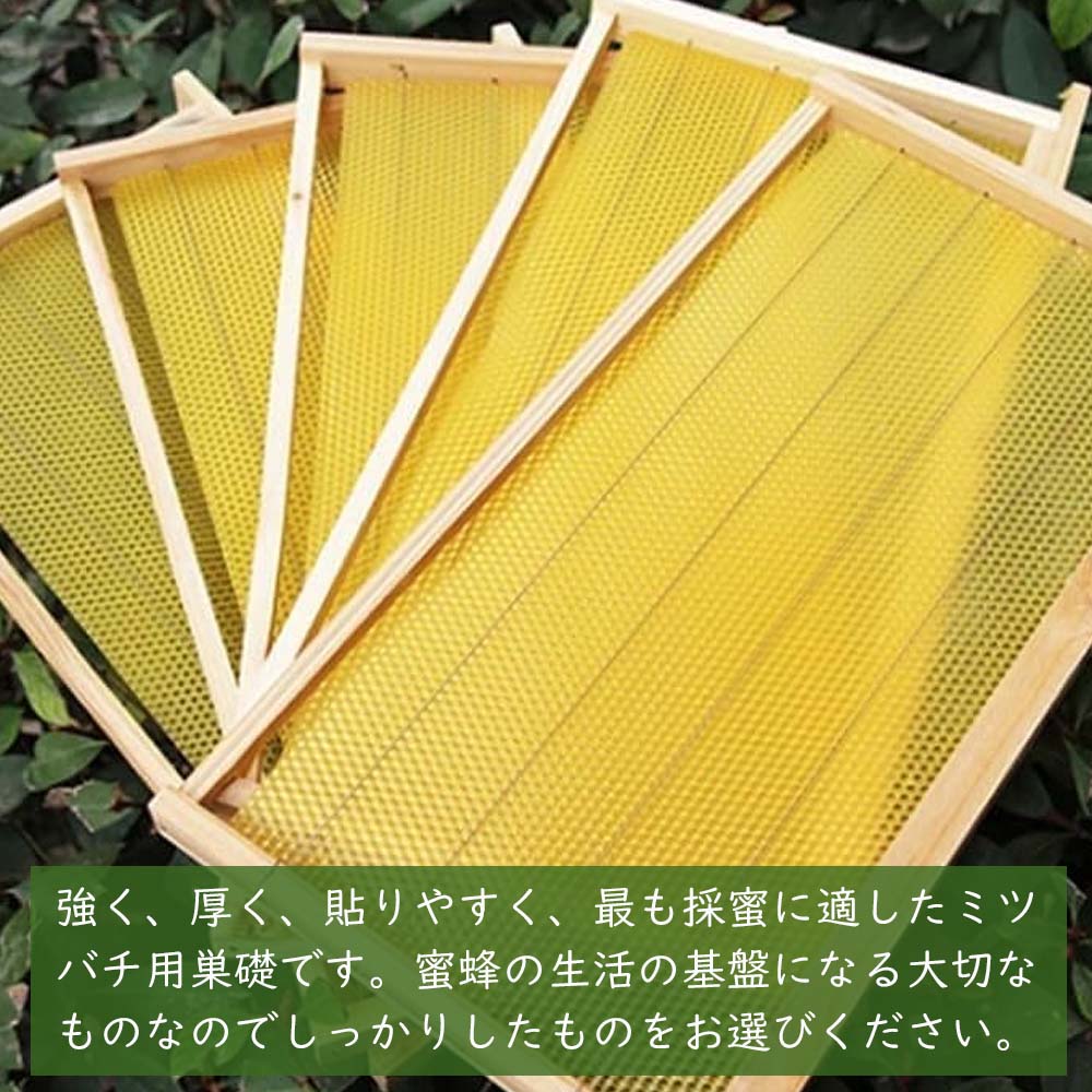 楽天市場】＼1点6％&2点15％OFF／養蜂器具 完成巣枠 巣礎付き 蜂の巣