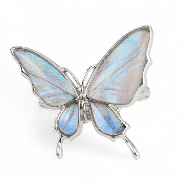 楽天市場】【スーパーセール◇10%OFF】[スルコウスキーモルフォ] 本物