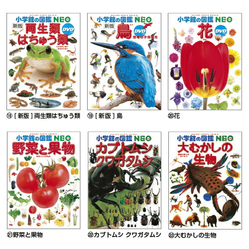 楽天市場】小学館の図鑑NEO (17)きのこｽﾞｶﾝNEOｷﾉｺ【小学館