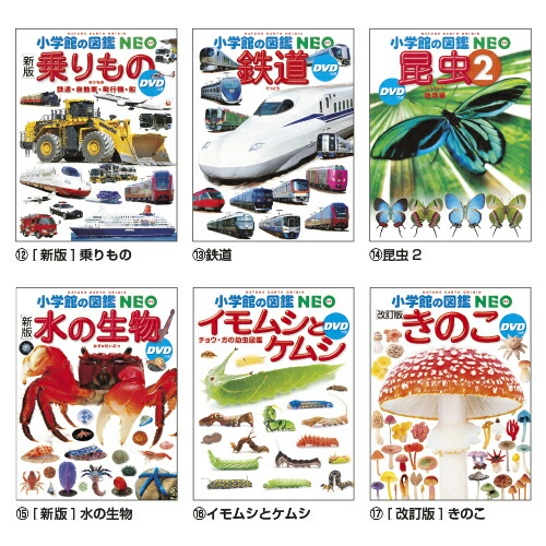 楽天市場】小学館の図鑑NEO (17)きのこｽﾞｶﾝNEOｷﾉｺ【小学館