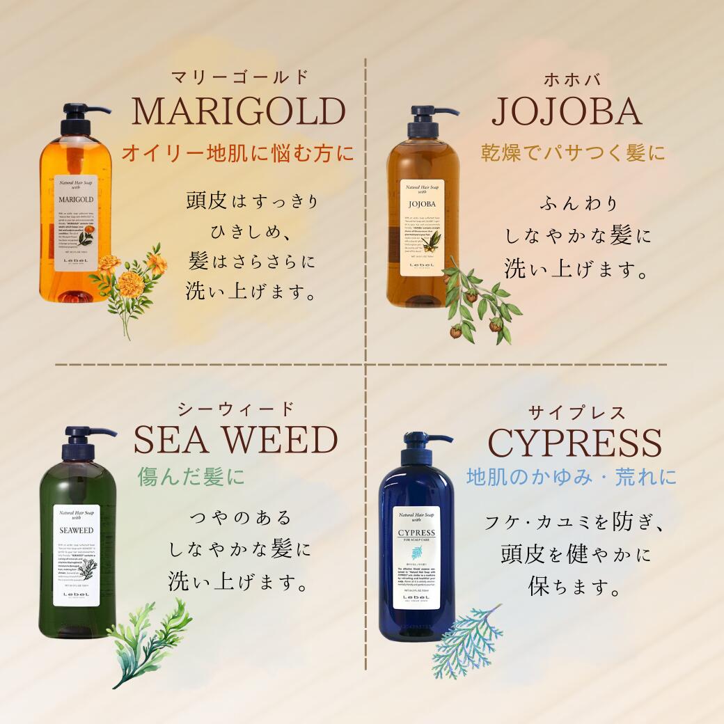 楽天市場】【挑戦価格】 新タイプ 2本 ルベル ナチュラルヘアソープ