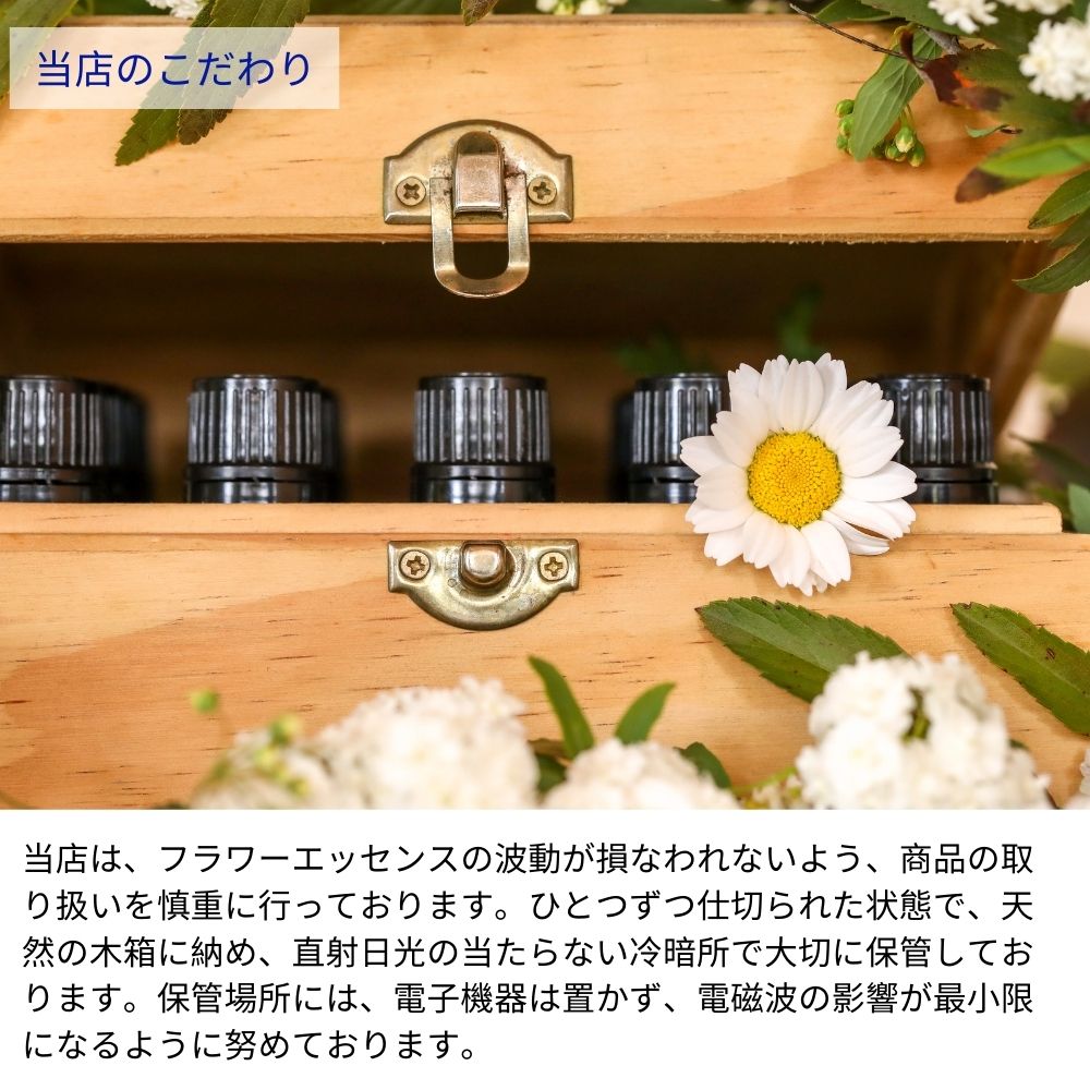 楽天市場】ミムラス ヒーリングハーブス フラワーエッセンス フラワー