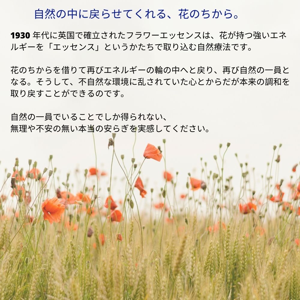 楽天市場】インティマシーブレンド パワーオブフラワーヒーリング