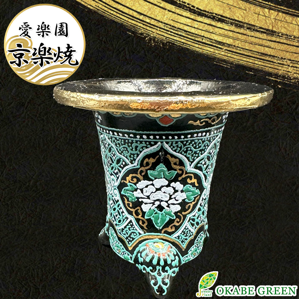 楽天市場】万年青 オモト（植木鉢・プランター｜ガーデニング・農業