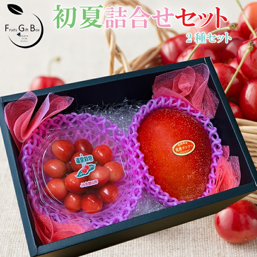 楽天市場】2025 ギフト 初夏のフルーツ詰合せセット 山形さくらんぼ