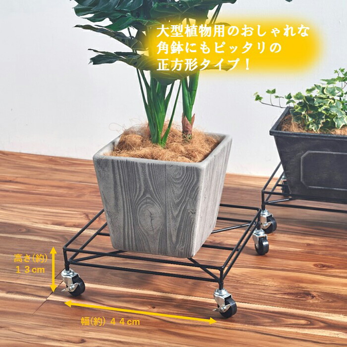 楽天市場】鉢台 鉢のせ台 頑丈 キャスター付き 正方形 スクエア 44cm