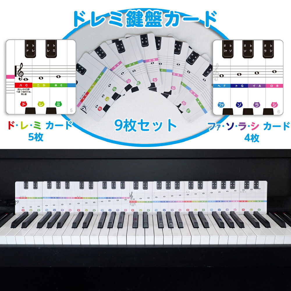楽天市場】ドレミ鍵盤カード ｜鍵盤と音符をリンクできる鍵盤カード