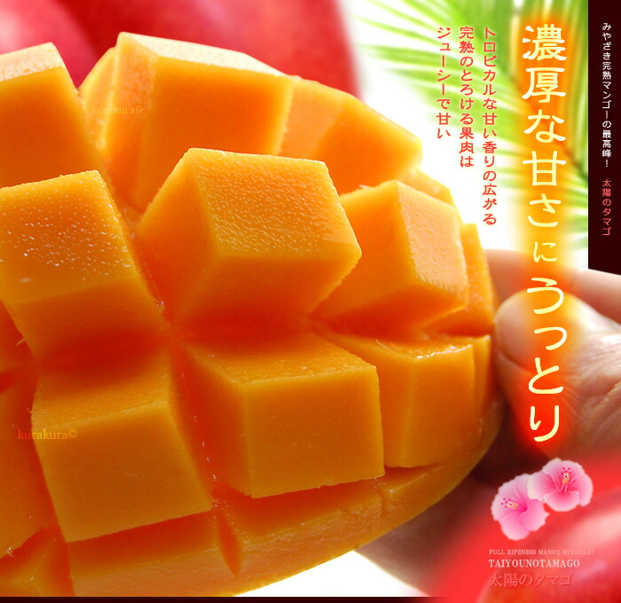 楽天市場】太陽のタマゴ (2L×3玉/約1kg) 宮崎産 赤秀～青秀 太陽の