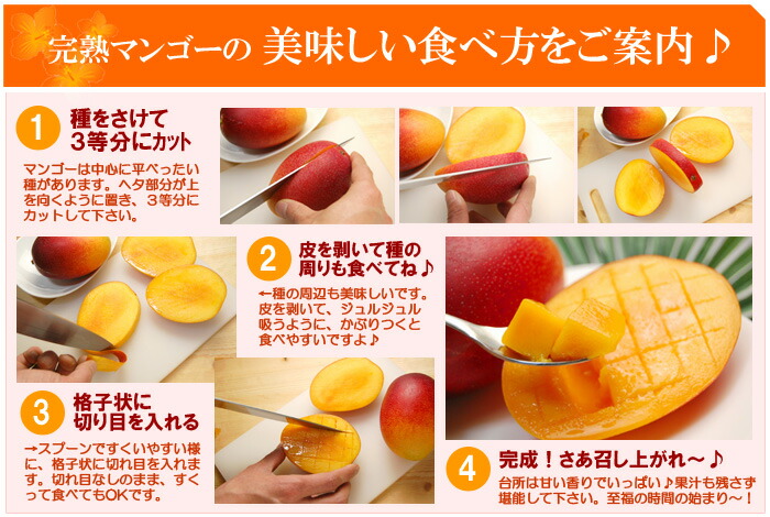 楽天市場】太陽のタマゴ (4L×2玉/約1.2kg) 宮崎産 赤秀～青秀 太陽の