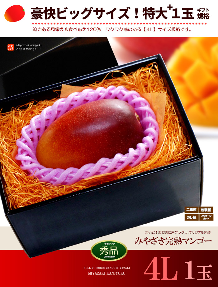 楽天市場】宮崎マンゴー (4L/約510g) 宮崎産 赤秀～青秀 宮崎完熟