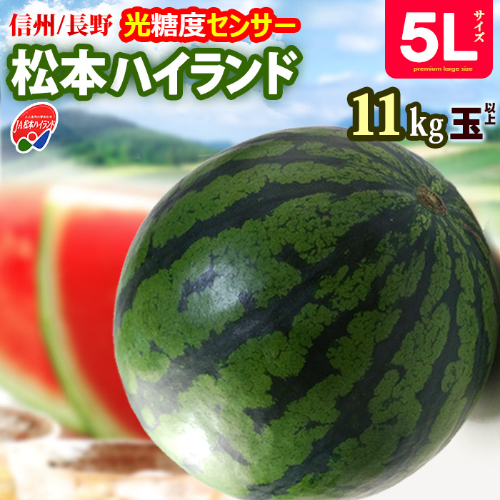 楽天市場】松本ハイランド すいか 秀品 (5L×1玉) 長野産 A品 秀品 11kg
