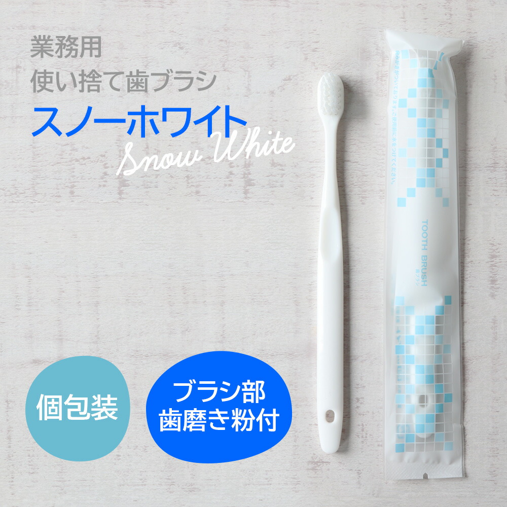 楽天市場】【即発送】【税込1000円ポッキリセール！】（送料別）業務用