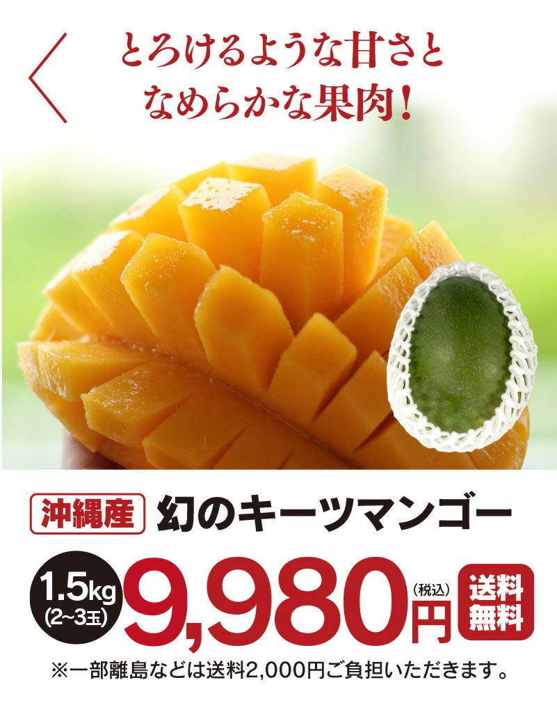 楽天市場】国産 幻のマンゴー キーツマンゴー 送料無料 1.5kg（大小